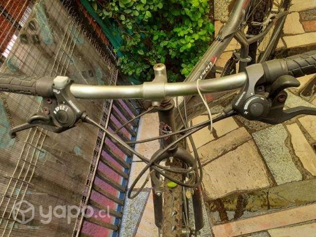Bicicleta Bianchi - Imagen 2