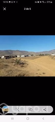 5065mt2 tambillos coquimbo - Imagen 4