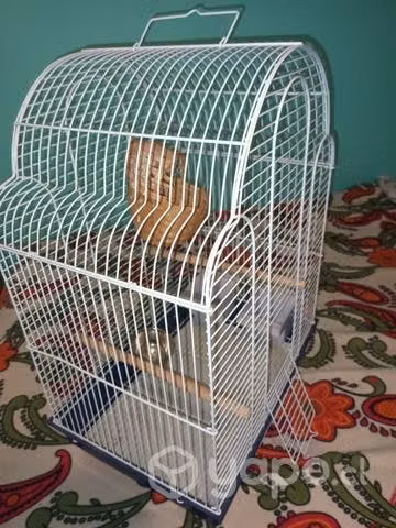 Pajjareera