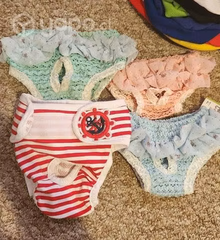 Los 4 Calzones de celos para perritas