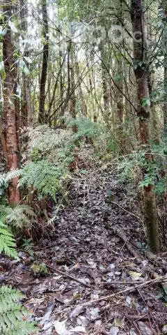 Se venden 19,35 ha Piedra Azul Alto, Puerto Montt