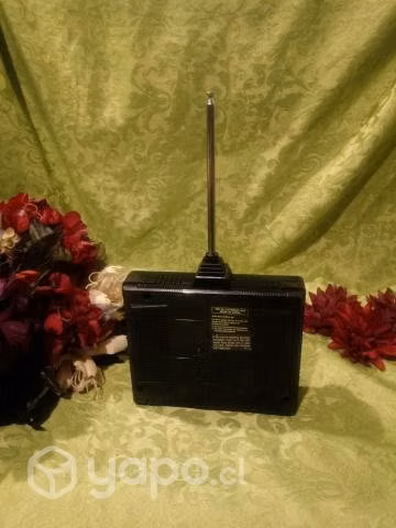Radio control Nikko AM27MHz - Imagen 4