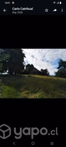Terreno