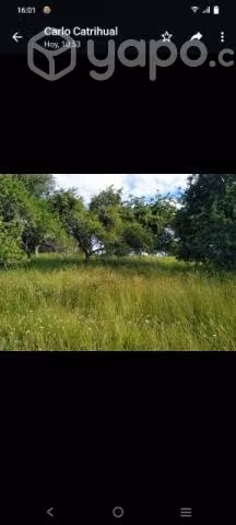 Terreno