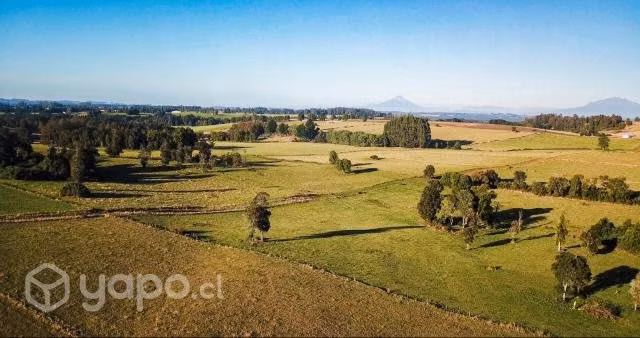 SE VENDE PARCELA 5.000 m2 EN PTO. VARAS CON SU ROL