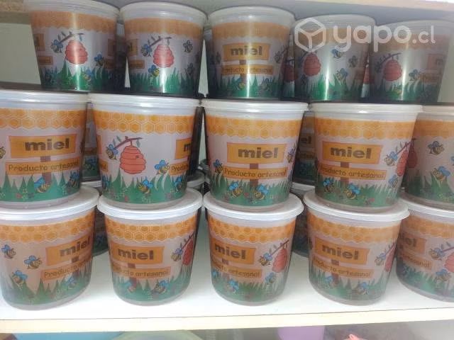 Miel de ulmo