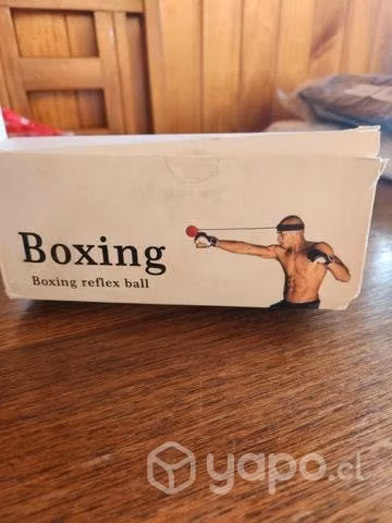 Entrenamiento Box