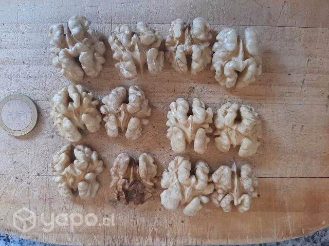 Nueces Maripos.