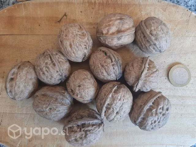Nueces Maripos.