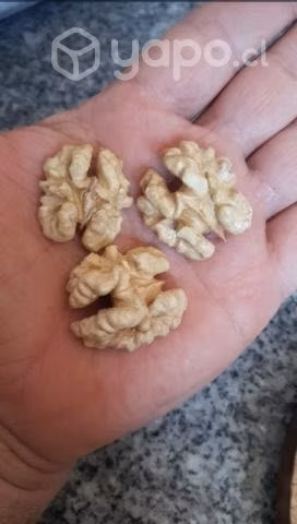 Nueces Maripos.