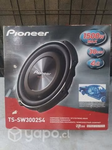 Sub woofer pionner flat (plano) - Imagen 2