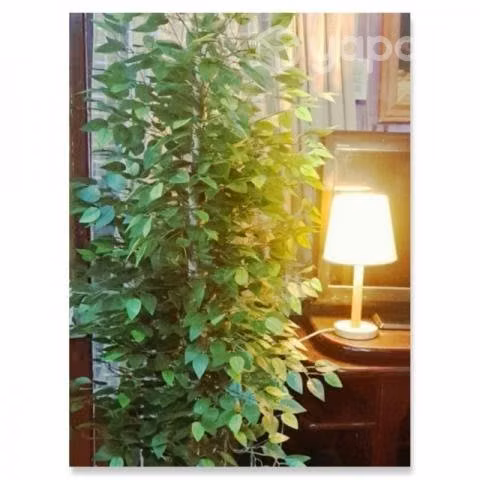 Plantas árboles artificiales