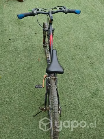 Bici Opaltech