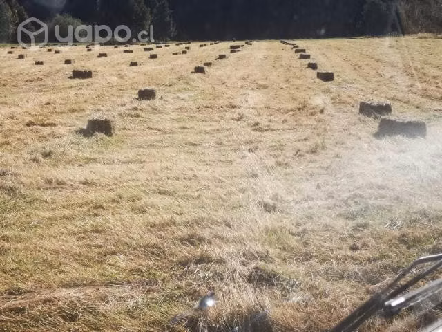 Fardos