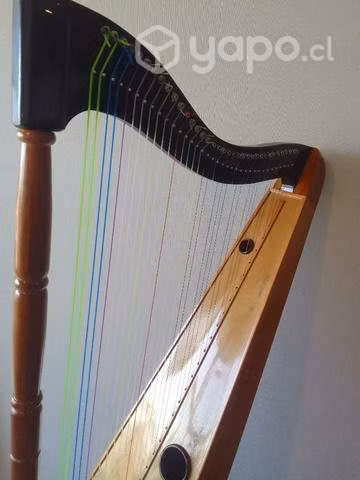 Arpa 36 cuerdas