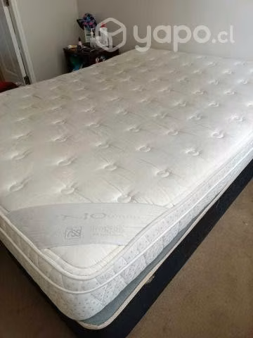 Cama