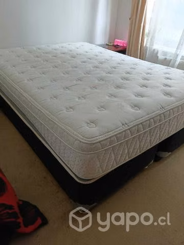 Cama