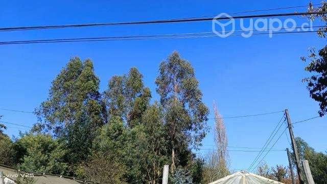 Terreno en nueva imperial