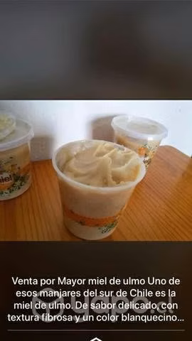 Miel de Ulmo natural