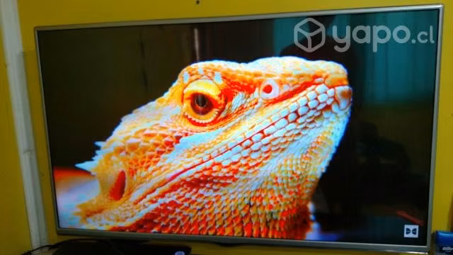 Led lg 43