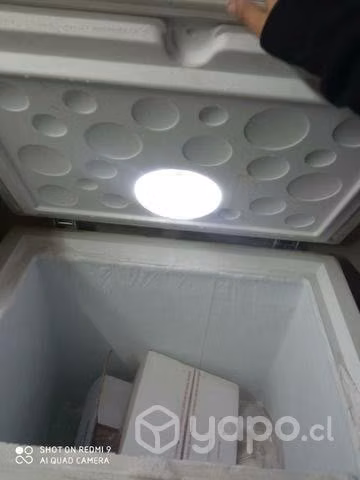 Máquinas congeladora, conservadoras y cooler