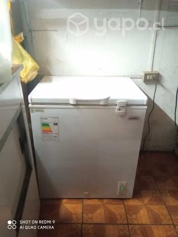 Máquinas congeladora, conservadoras y cooler - Imagen 4
