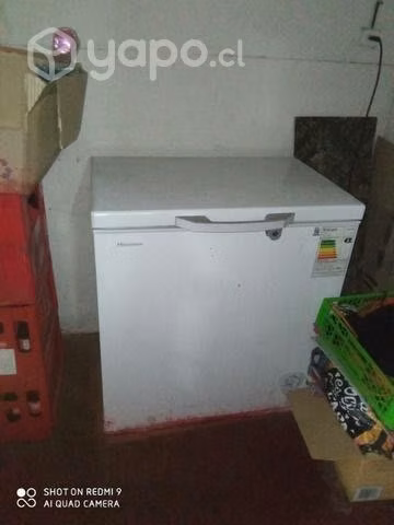 Máquinas congeladora, conservadoras y cooler - Imagen 5