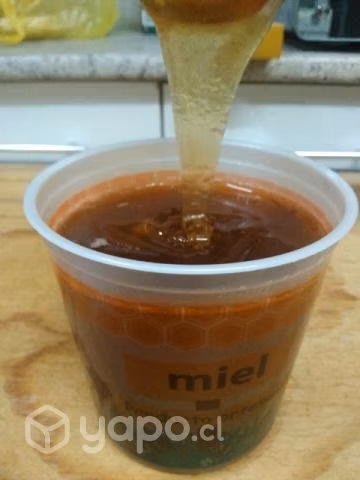 Miel pura 100%