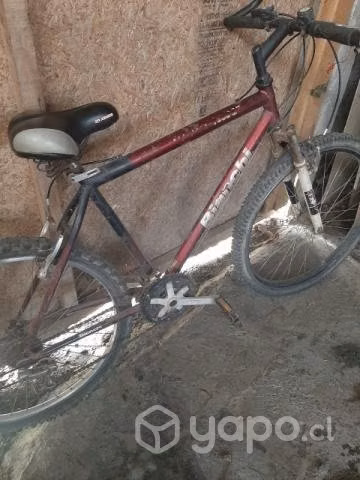 Bicicletas