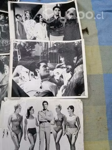 Fotos Elvis presley