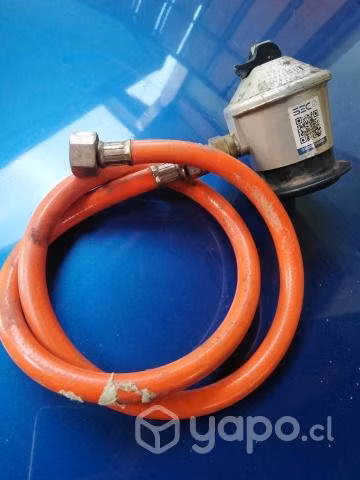 Regulador para gas