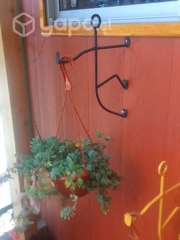 Diseños para colocar plantas en su Jardin