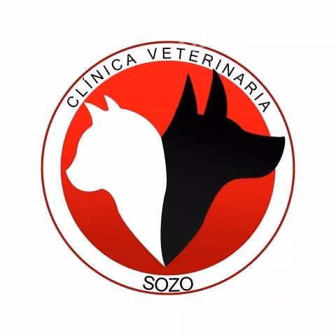 Servicios veterinarios a domicilio