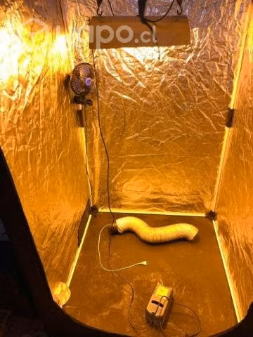 Indoor