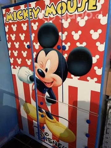 Closet mickey mouse