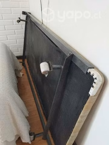 Cama