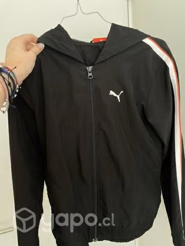 Cortaviento puma