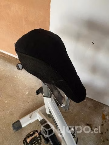 Bicicleta spining