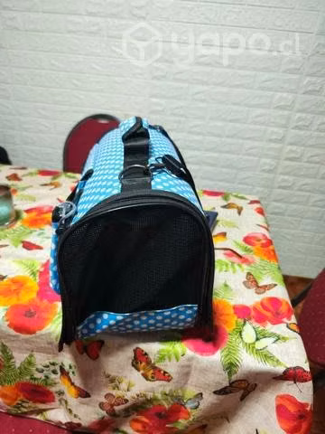 Canil para gato - Imagen 2