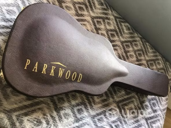 Guitarra acústica Parkwood PW-510