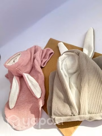 Ropa mascota