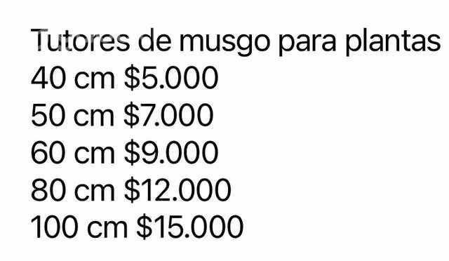 Tutores para plantas - Imagen 2
