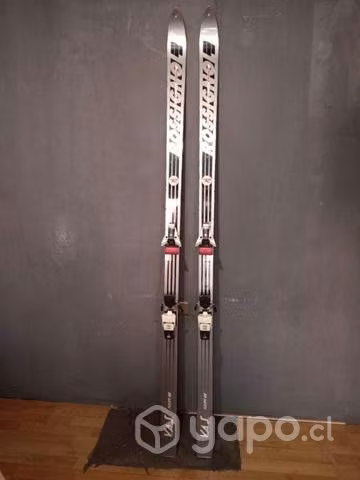 Skyes Rossignol