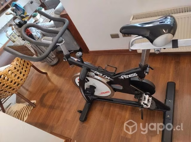Bicicleta Indoor Belda Pro-910 Magnetica