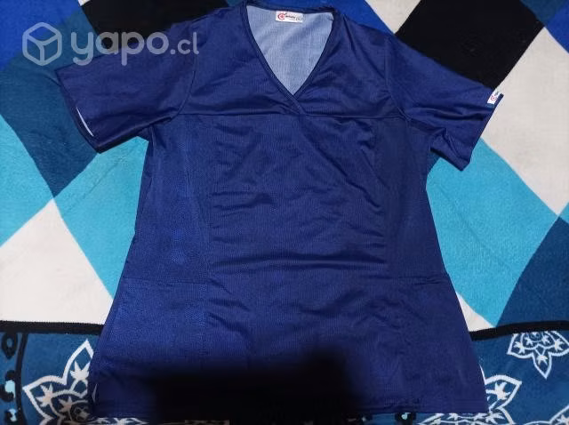 Pechera clinica