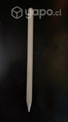 IPad Pro 256