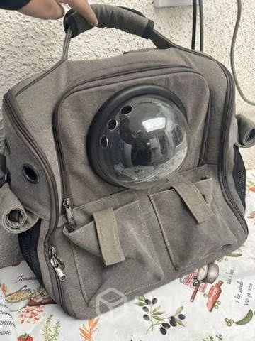 Mochila mascota