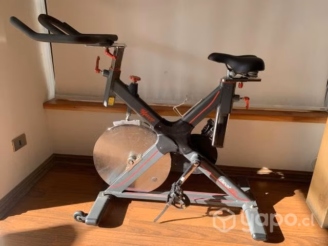 Bicicleta spinning muvo beat 50