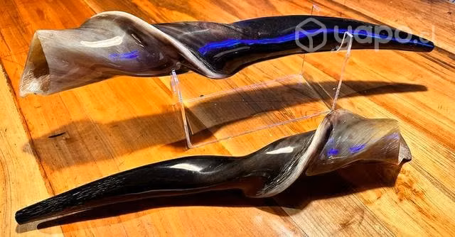 Shofar eland exótico