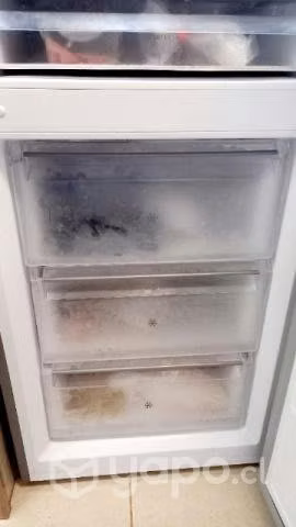 Refrigerador fensa Modelo DB6O5 - Imagen 3